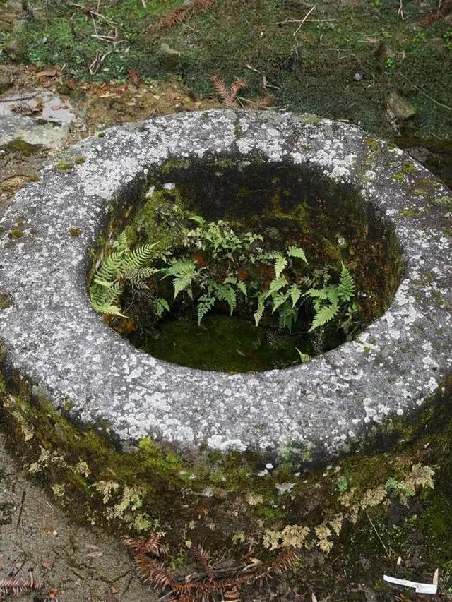 教堂夜话七井振魂